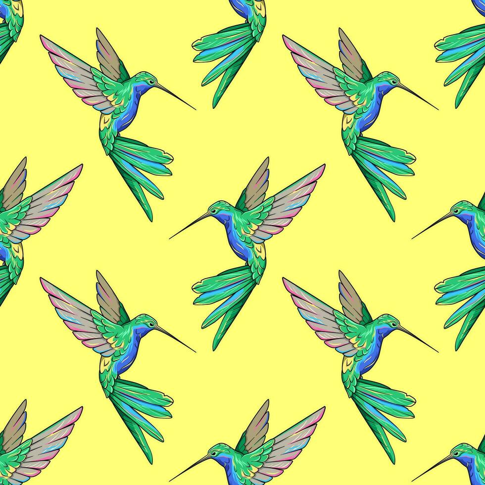 Hummingbird, colibri bird seamless pattern, background vector