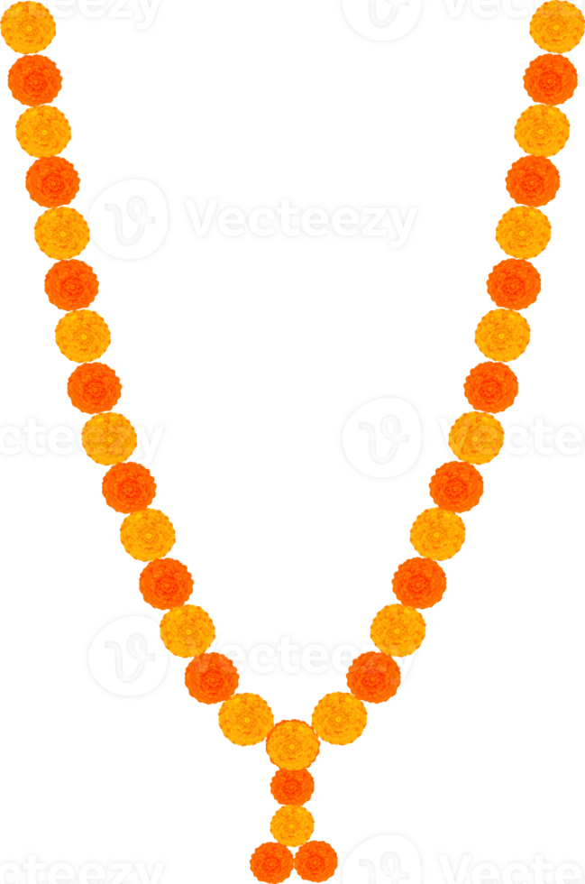 Mango le foglie e calendula fiori ghirlanda per indiano Festival decorazione png