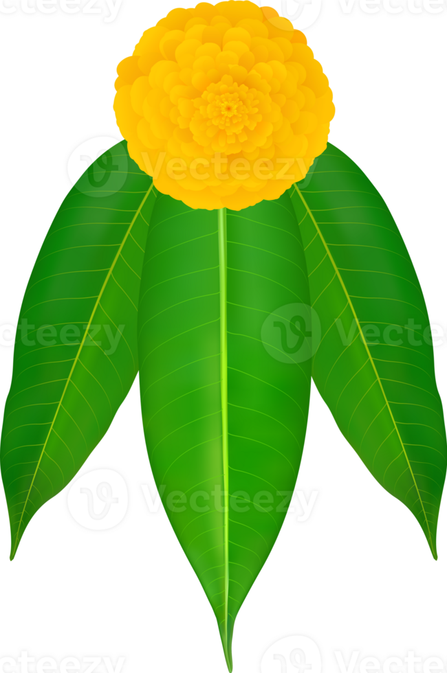 mango blad och ringblomma blomma dekoration png