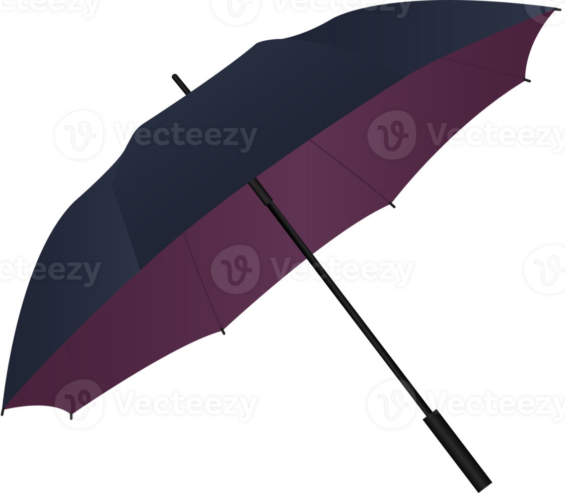 Umbrella For Rainy Season png
