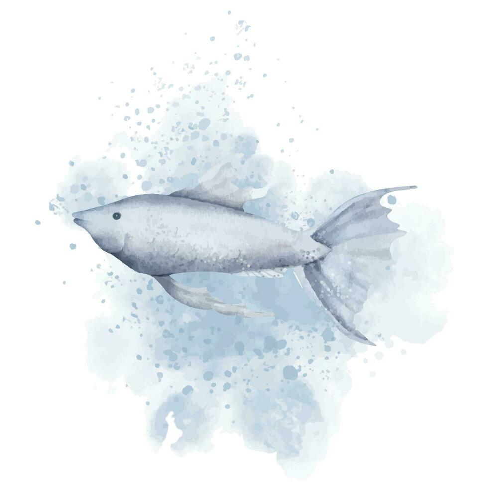 guppy pescado con acuarela chapoteo. mano dibujado ilustración de acuario mascota en aislado antecedentes. dibujo de submarino tropical animal. bosquejo de exótico marina azul criatura para icono o logo vector