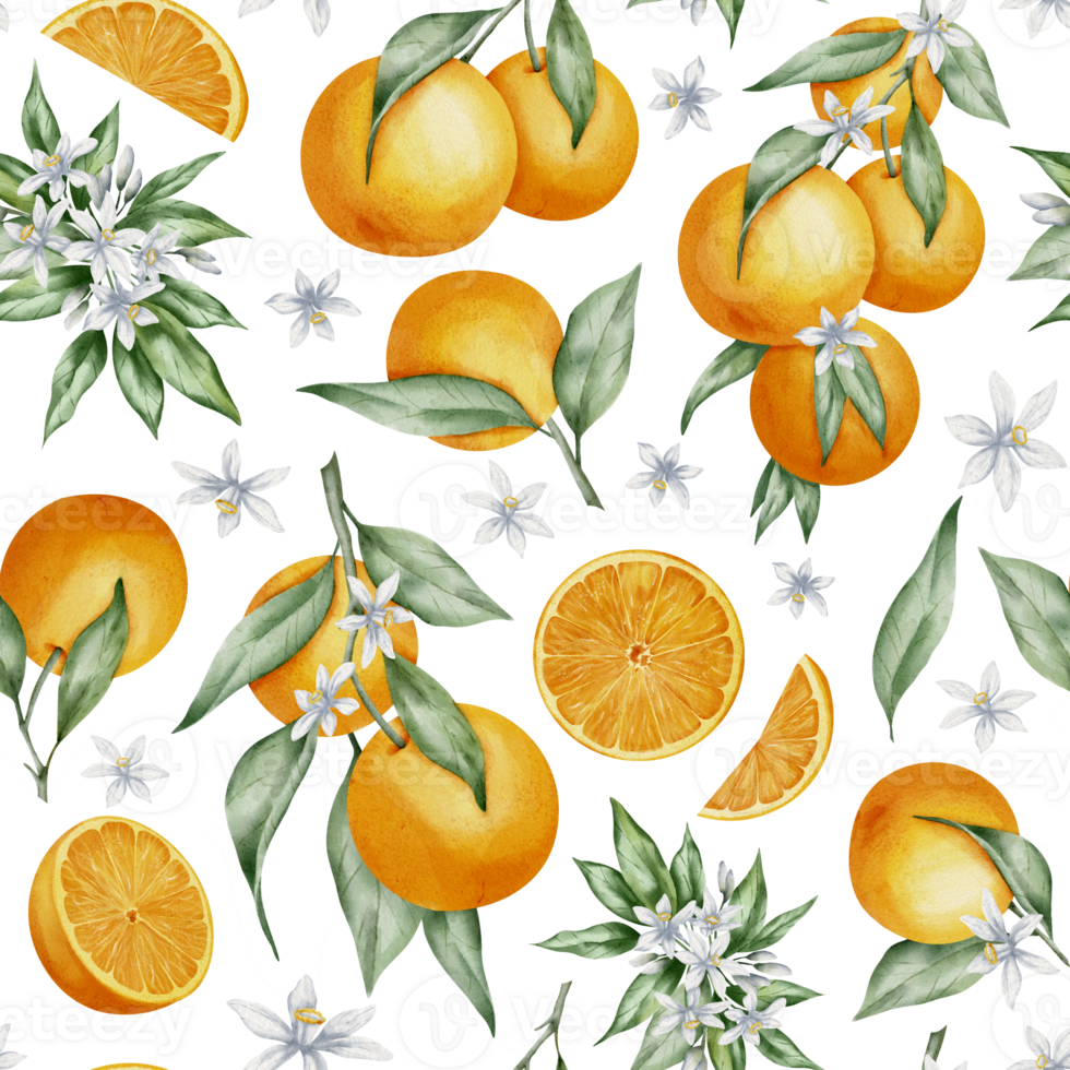 Seamless Pattern with Orange Fruit Branches, green leaves and flowers. Hand drawn watercolor illustration of citrus food for wrapping paper or textile design. Print on a transparent background. png