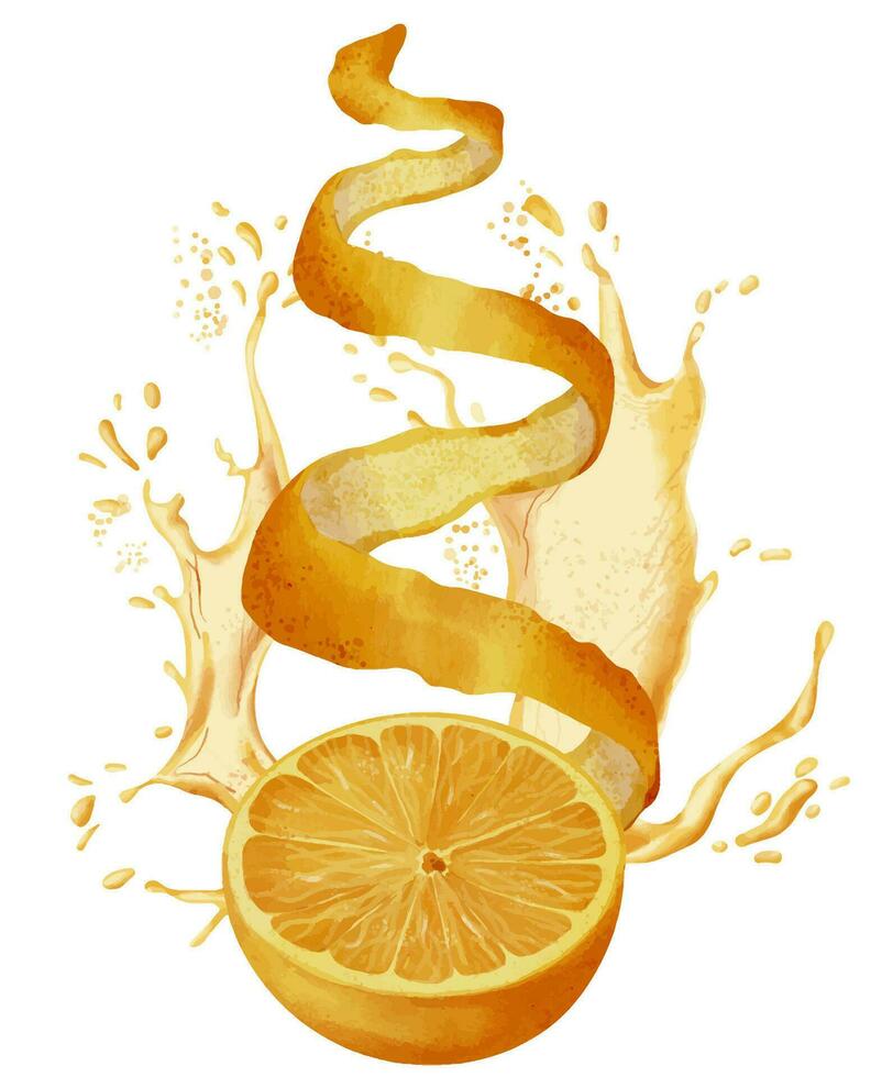 Slice of Orange Fruit with Juice splash and Peel. Hand drawn watercolor illustration of half of citrus food and zest on white isolated background. Drawing of tropical mandarin for tangerine label vector