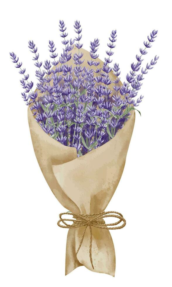 ramo de flores de lavanda flores en papel con cinta. mano dibujado acuarela ilustración en blanco aislado antecedentes para saludo tarjetas o Boda invitaciones floral provincia dibujo para icono o logo vector