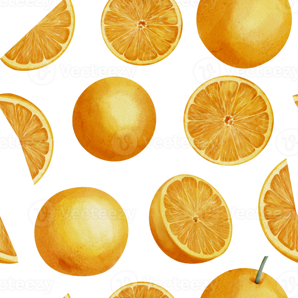 Orange Fruit Seamless Pattern. Hand drawn print with Slices of citrus food on white isolated background. Illustration of ornament with tangerine Circles for wrapping paper. Mandarin for juice label png