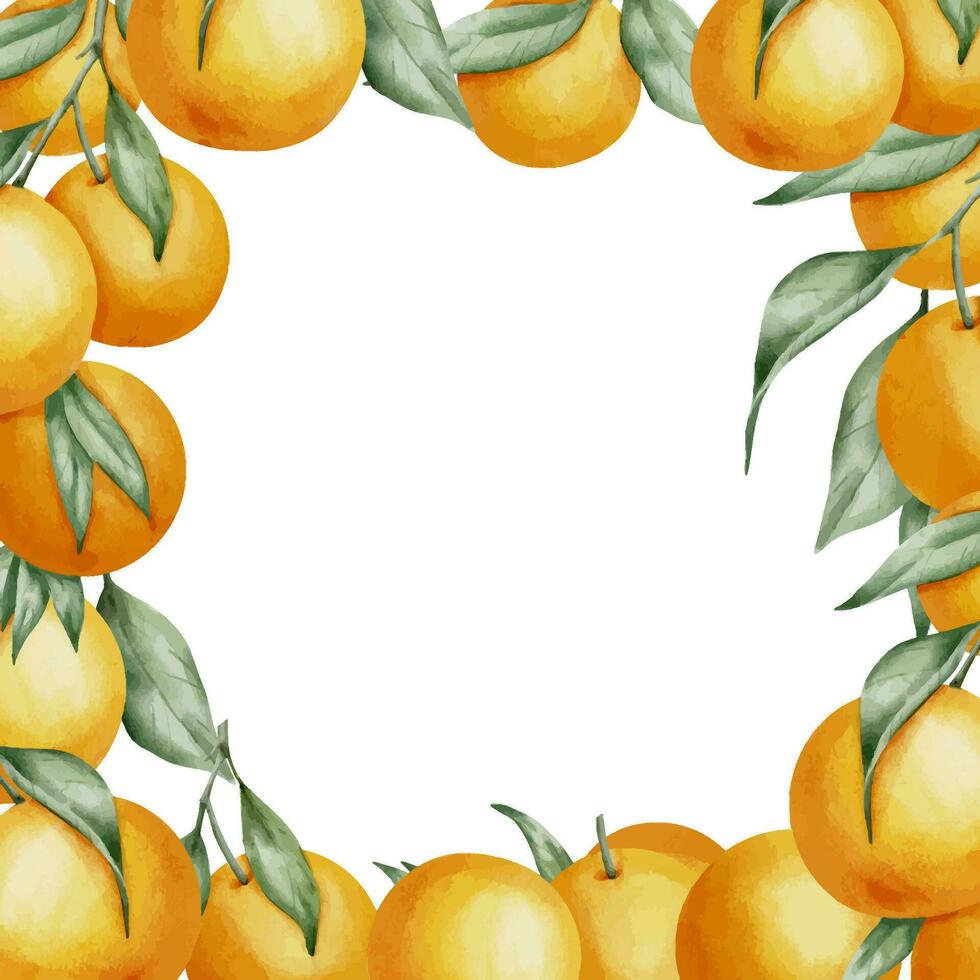 Orange Fruits Square Frame. Hand drawn watercolor illustration of Border with Citrus branches on white isolated background. Drawing with tangerines and clementine with green leaves for icon or logo vector