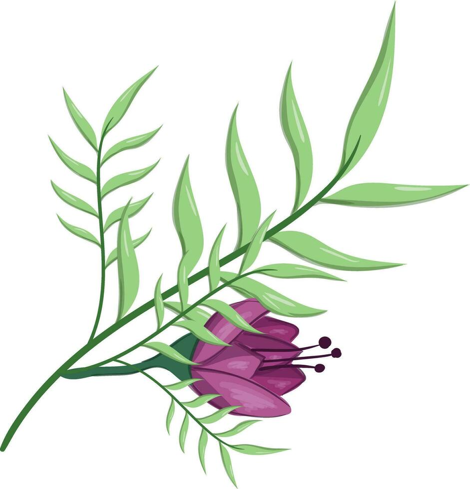 Flowers Blooms Long Leaf Weeds vector