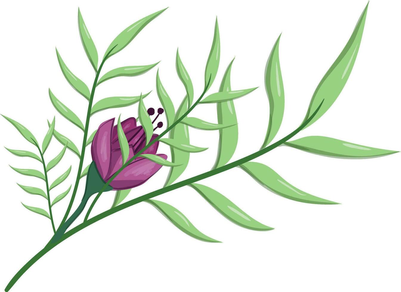 Flowers Blooms Long Leaf Weeds vector