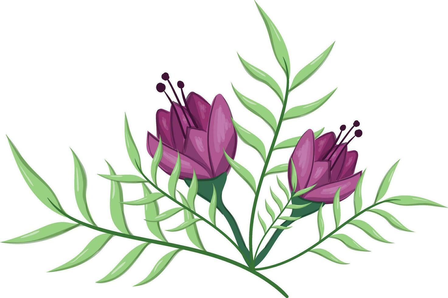 Flowers Blooms Long Leaf Weeds vector