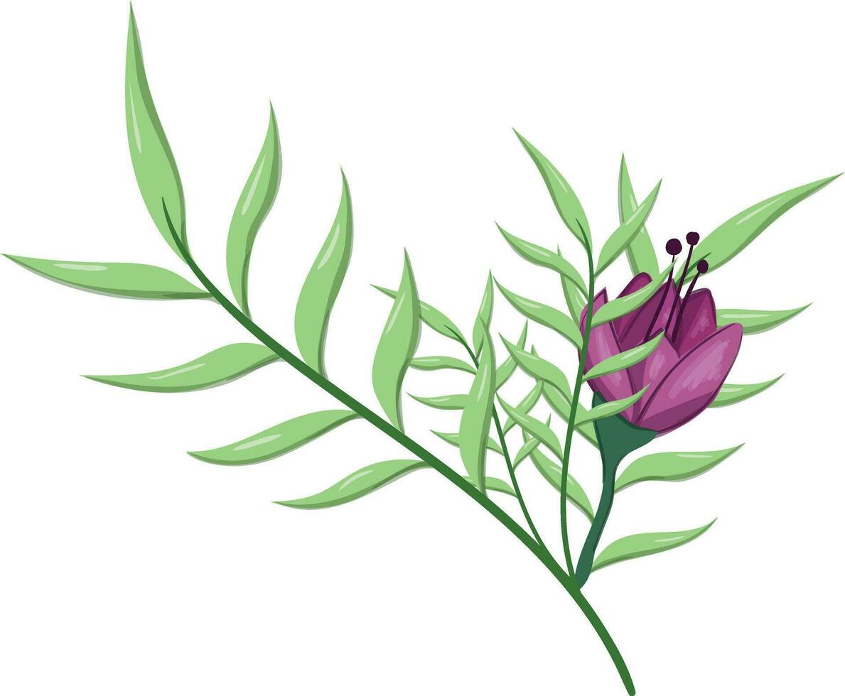 Flowers Blooms Long Leaf Weeds vector