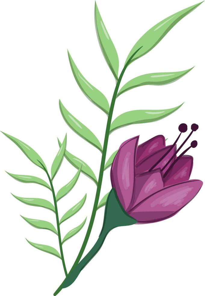 Flowers Blooms Long Leaf Weeds vector