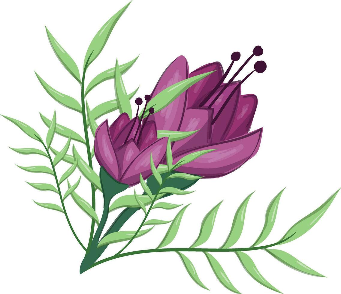 Flowers Blooms Long Leaf Weeds vector
