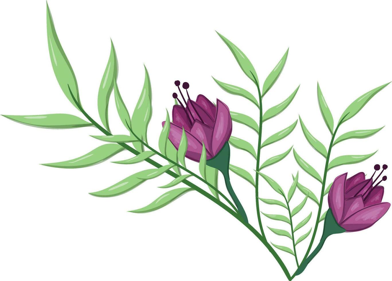 Flowers Blooms Long Leaf Weeds vector
