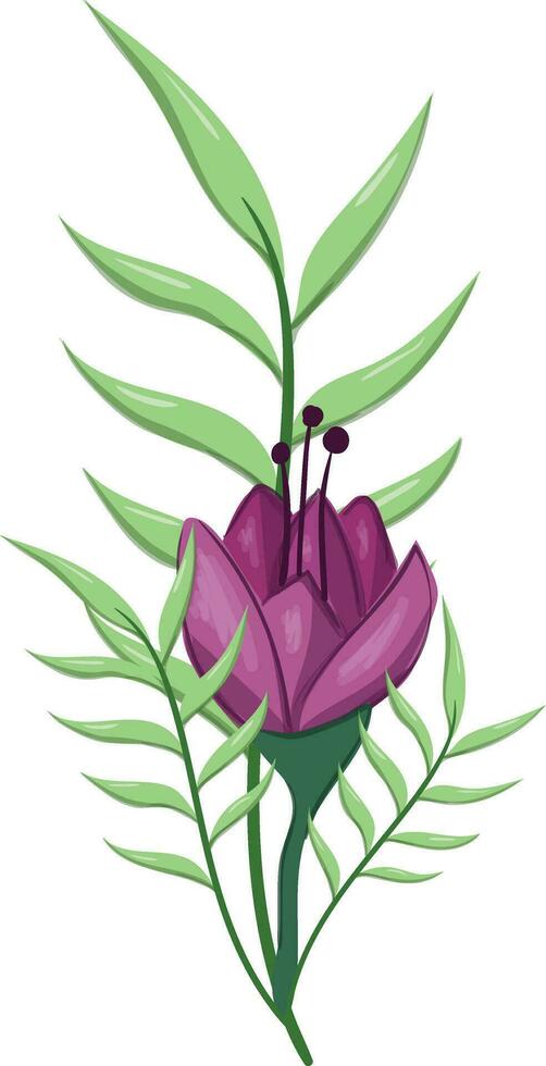 Flowers Blooms Long Leaf Weeds vector