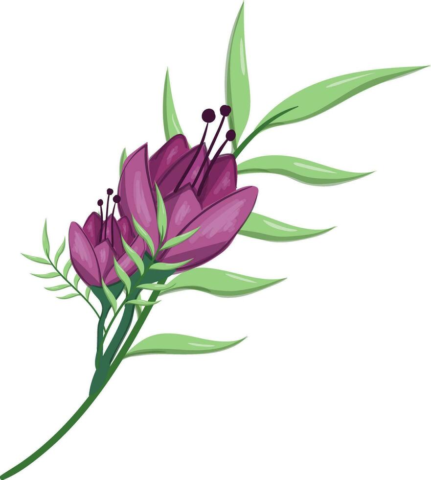 Flowers Blooms Long Leaf Weeds vector