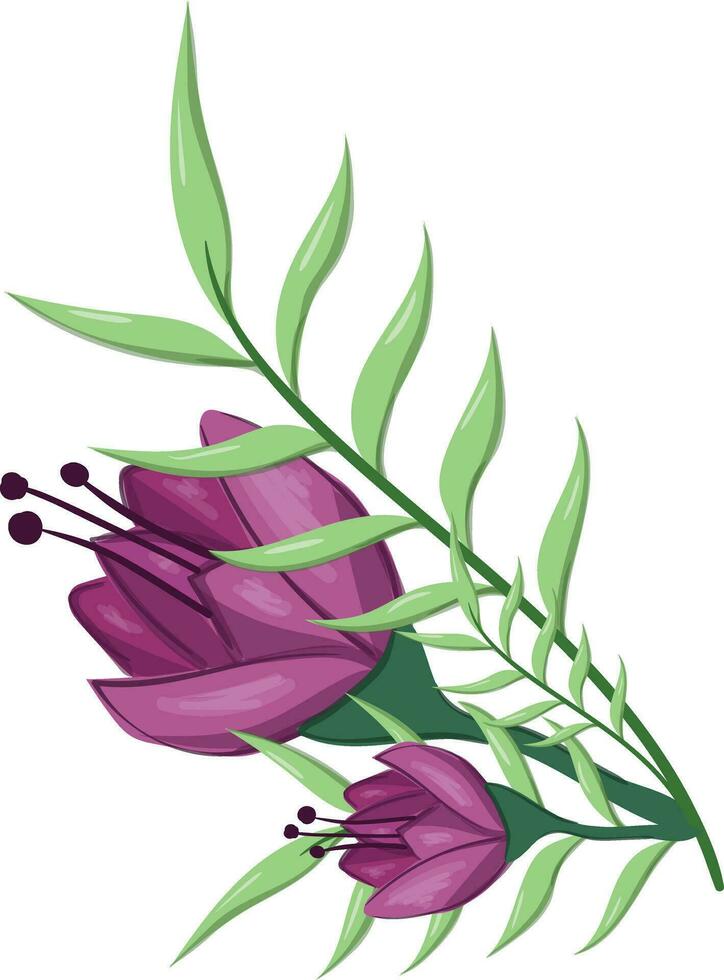 Flowers Blooms Long Leaf Weeds vector