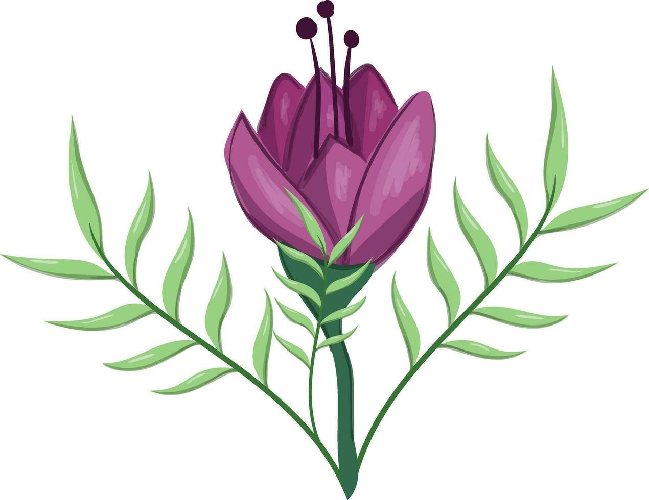Flowers Blooms Long Leaf Weeds vector
