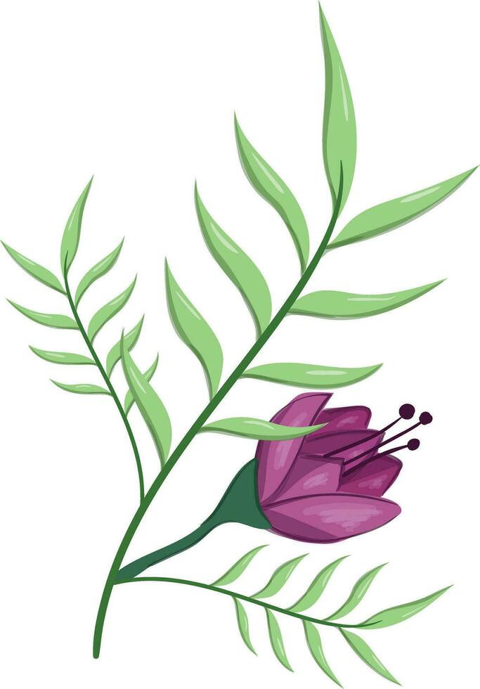 Flowers Blooms Long Leaf Weeds vector
