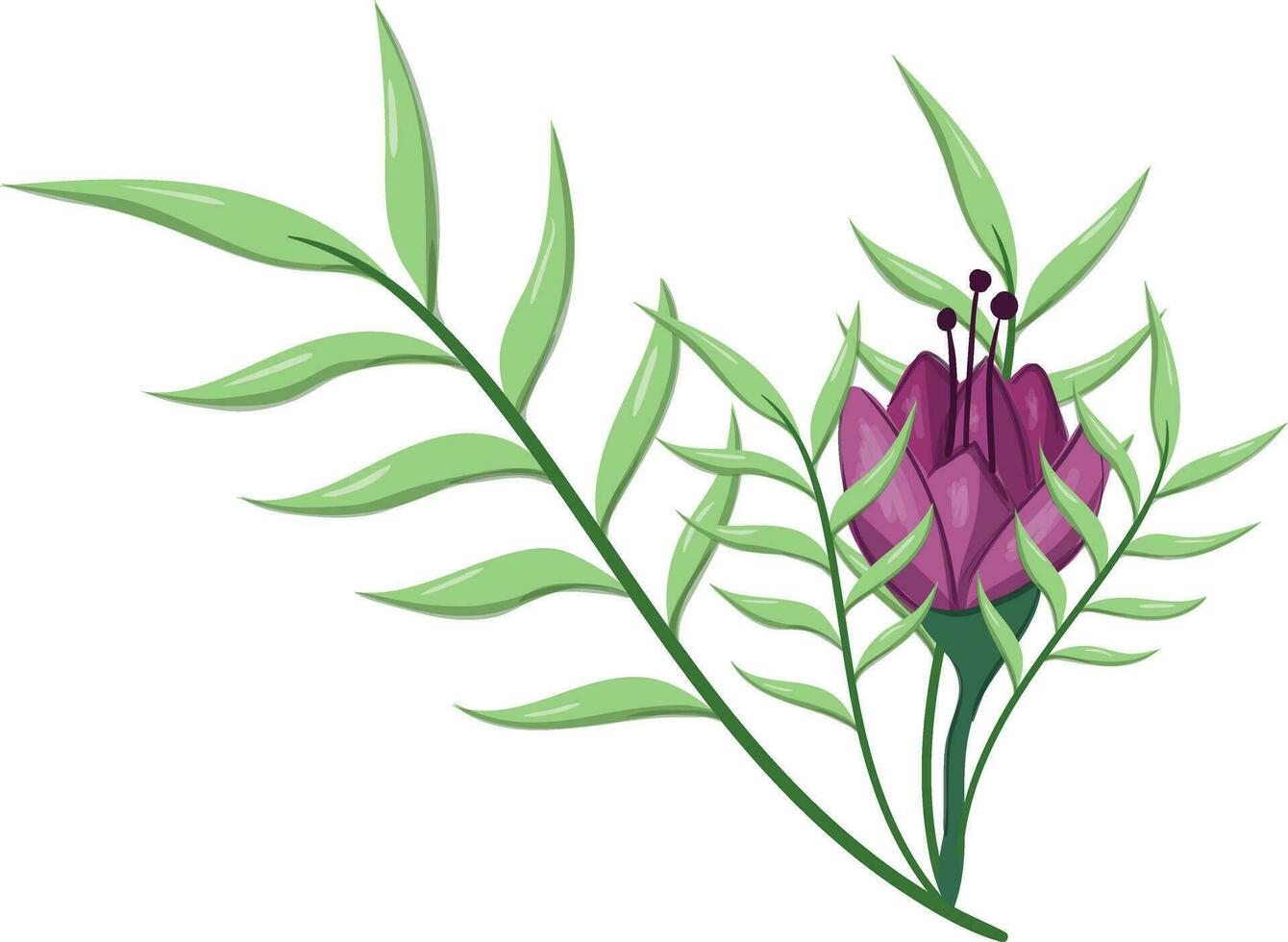 Flowers Blooms Long Leaf Weeds vector