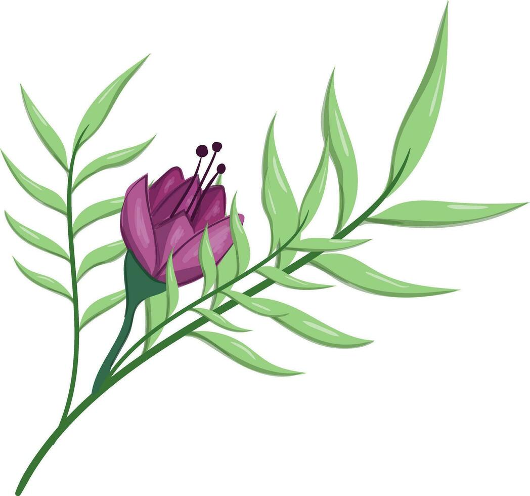 Flowers Blooms Long Leaf Weeds vector