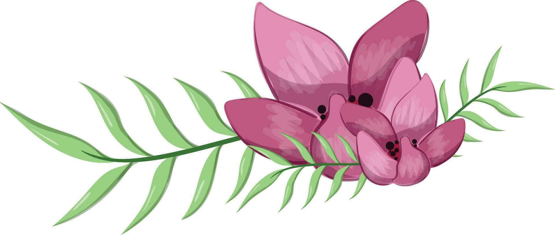 Half Bloom Flower with Long Leaves vector