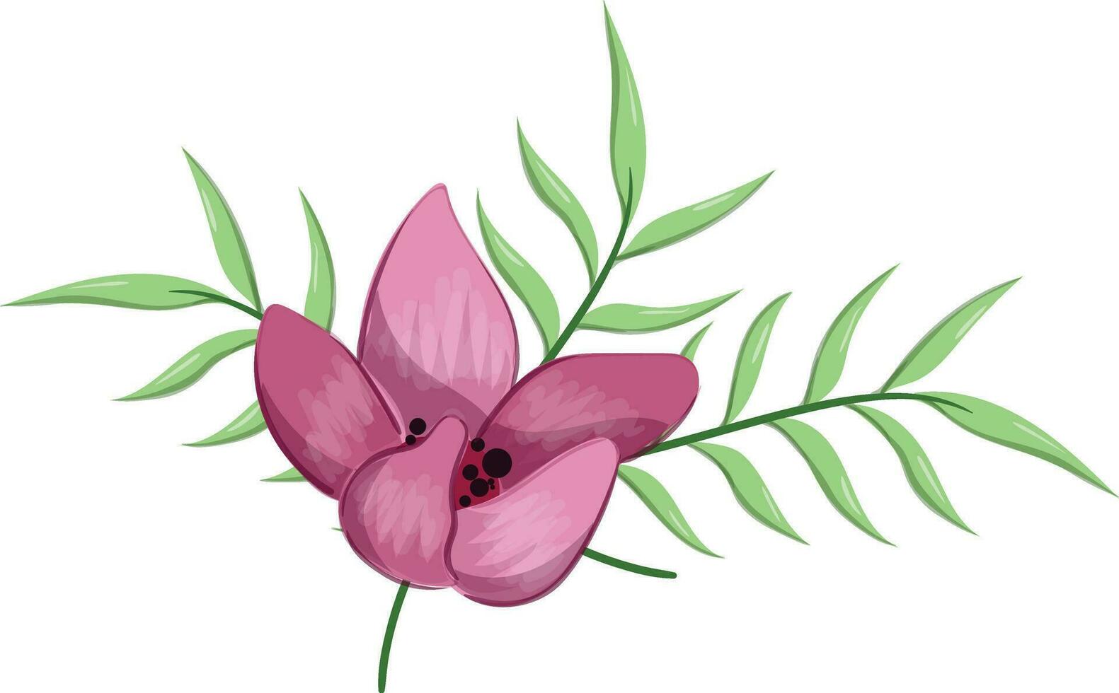 Half Bloom Flower with Long Leaves vector
