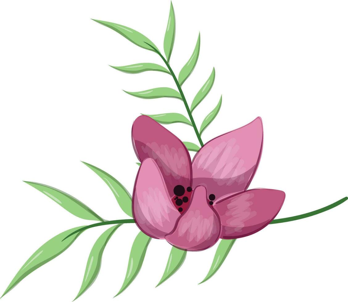 Half Bloom Flower with Long Leaves vector