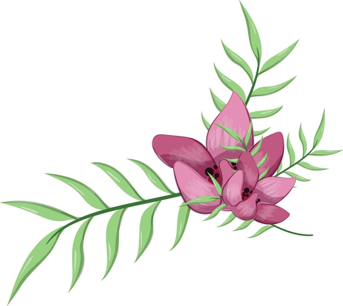 Half Bloom Flower with Long Leaves vector