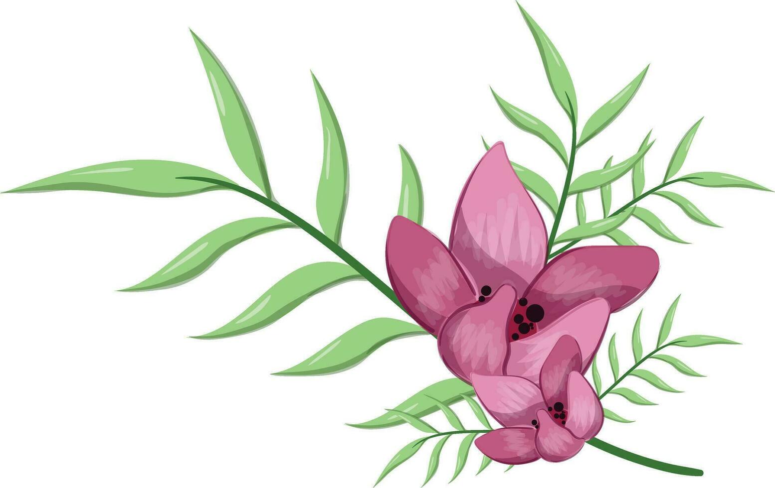 Half Bloom Flower with Long Leaves vector