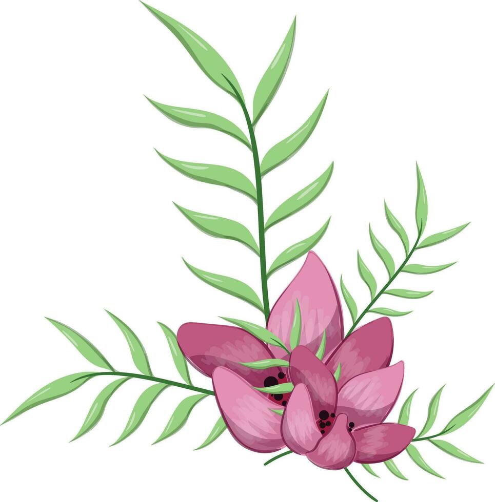 Half Bloom Flower with Long Leaves vector