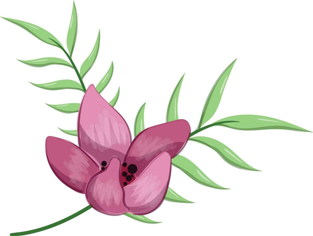 Half Bloom Flower with Long Leaves vector