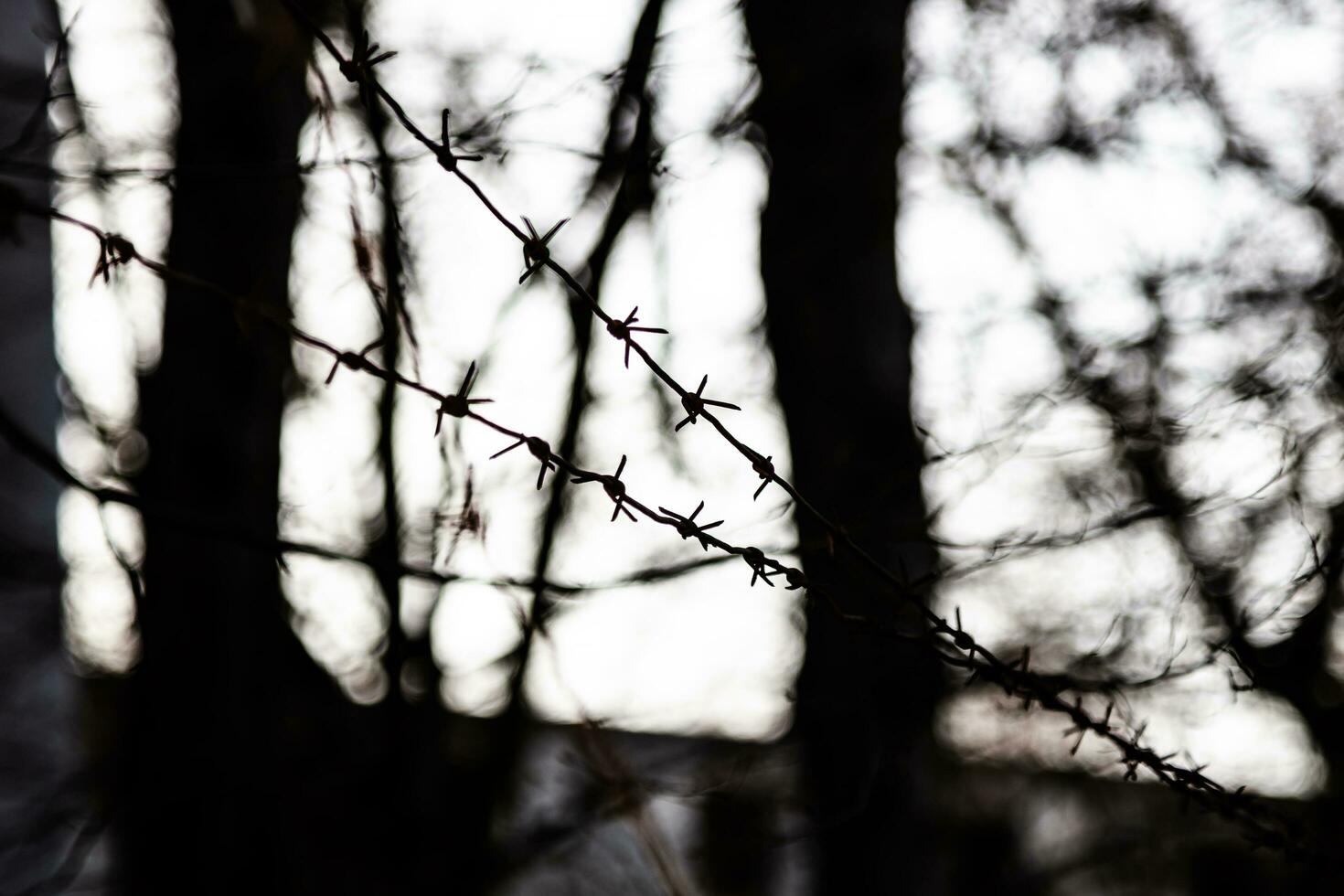Hungarian aged lost place in the forest. Ex soviet, abandoned army base barracks and associated buildings. photo