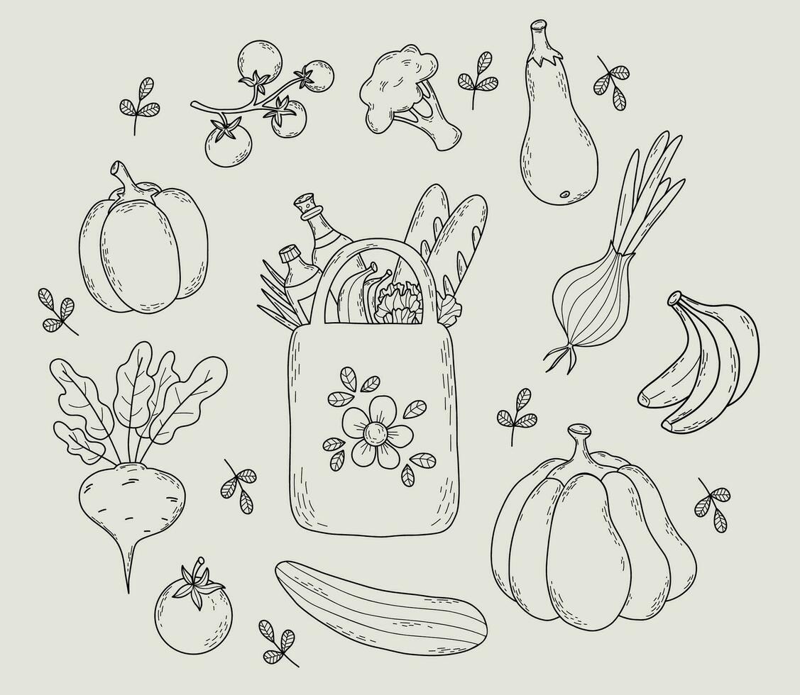 eco bolso con comida y colección vegetales. aislado vector contorno dibujos papel bolsa, raíz de remolacha, tomate, pepino, berenjena, coliflor, calabaza y pimienta.