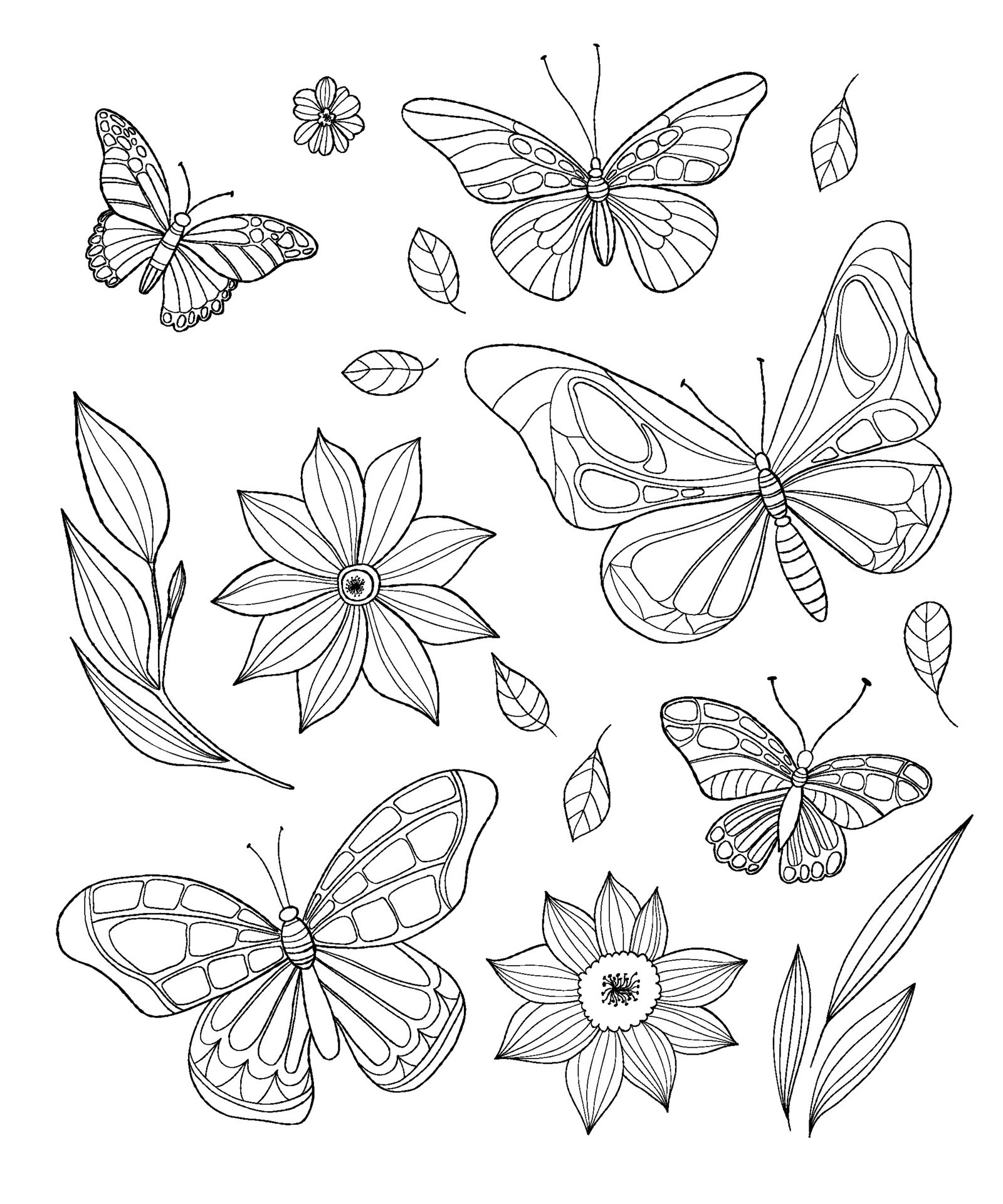 Watercolor Decorative Butterfly Insect, Drawn Contour, Print, Black and  White Coloring, Antistress on White Background for Decorat Stock  Illustration - Illustration of beauty, nature: 117368447