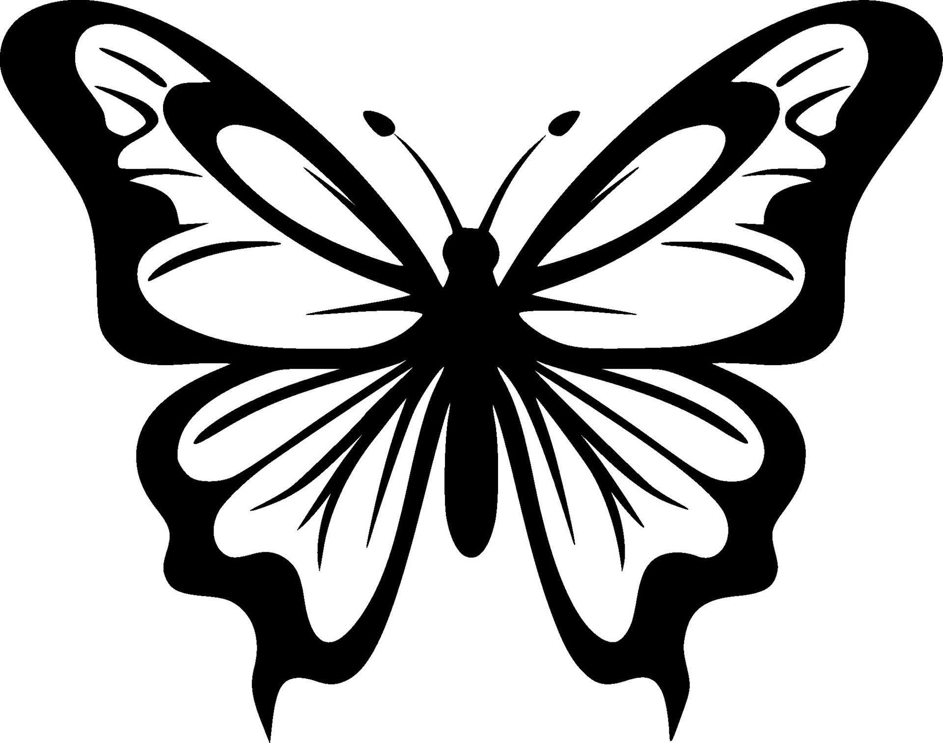 Butterfly, Black and White Vector illustration 25738318 Vector Art at