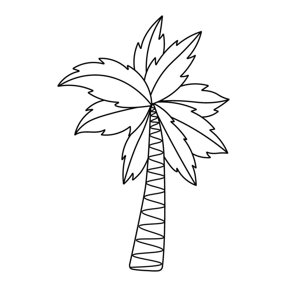 Tropical coconut tree. Doodle simple clipart. All objects are repainted. vector