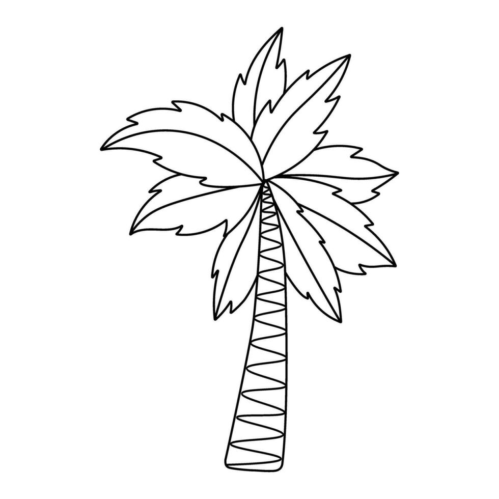 tropical Coco árbol. garabatear sencillo clipart. todas objetos son repintado vector