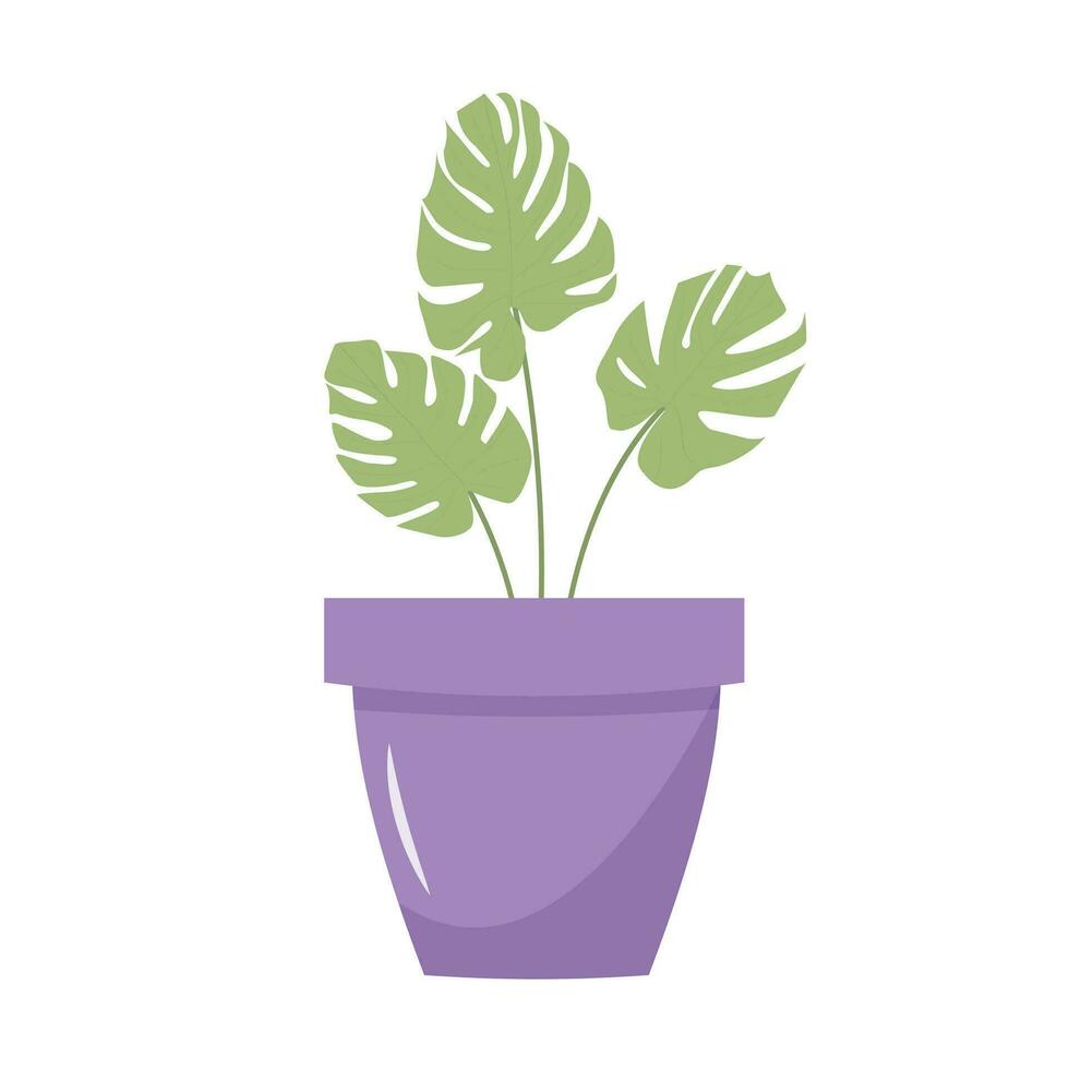 Monstera leaves in a flowerpot. Still life postcard. Cartoon flat illustration. vector