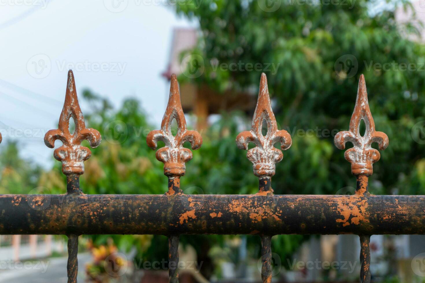 Old metal fashion fence. Decorative wrought iron fence. photo