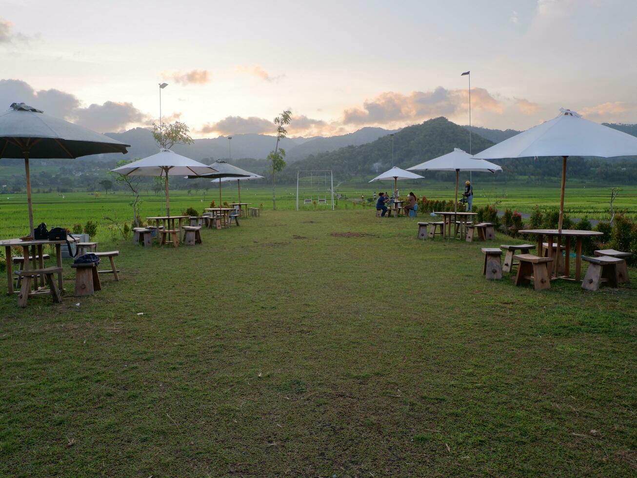 yogyakarta, Indonesia - marzo 08 2023 - foto de un sitio a colgar fuera en el parque con hermosa natural puntos de vista de arroz campos en el tarde.