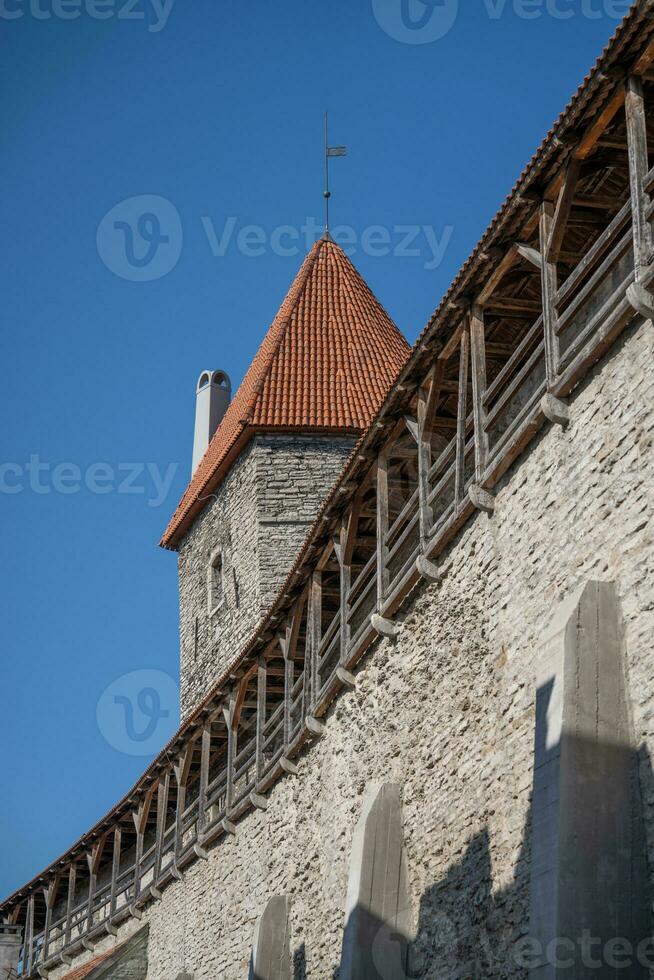 City wall and defense tower in Tallinn photo