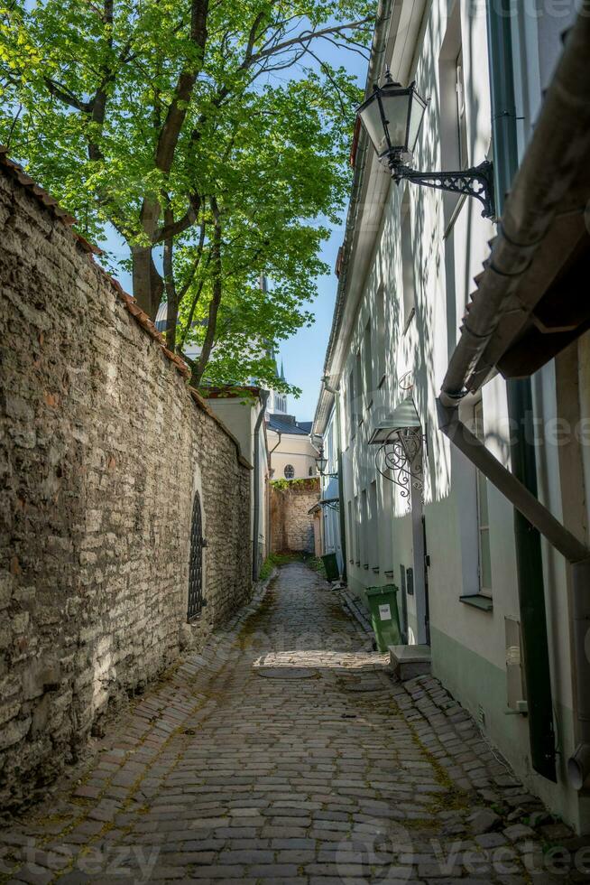 Narrow street in old town of Tallinn photo