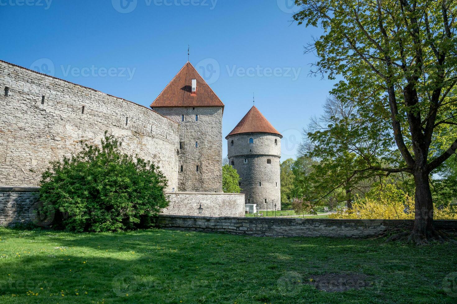 City wall and defense towers in Tallinn photo