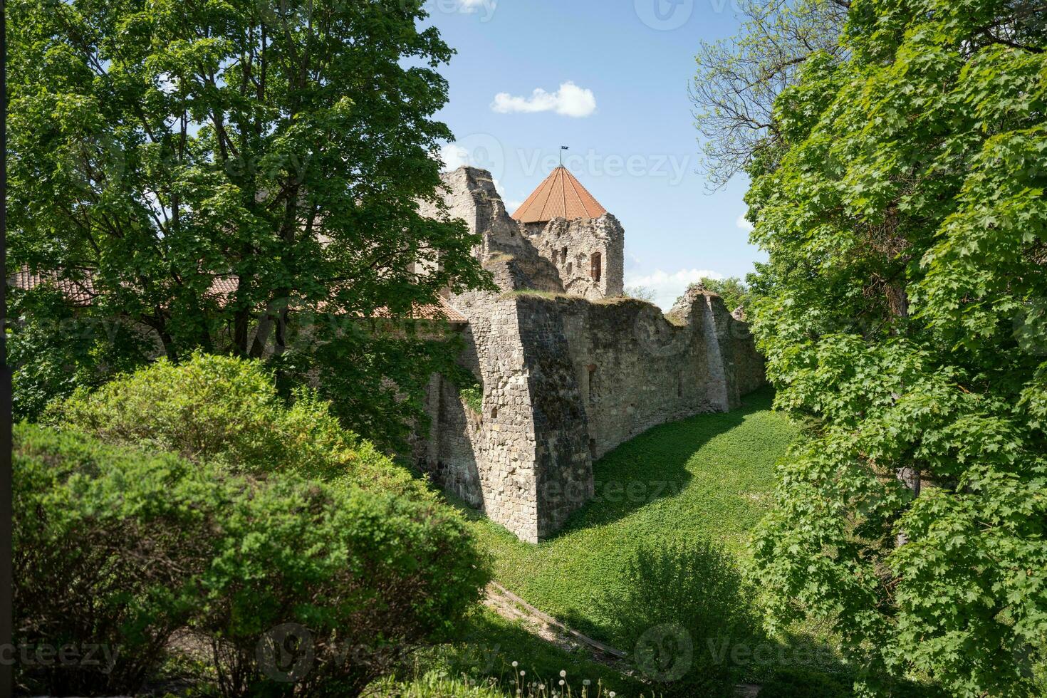 View of the medieval Cesis Castle in Latvia photo