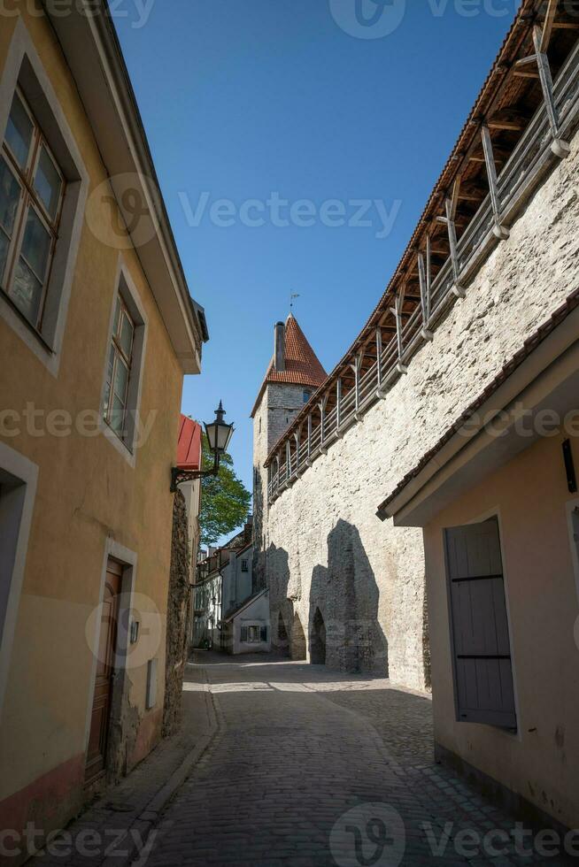 Narrow street in old town of Tallinn with city wall and defense tower photo