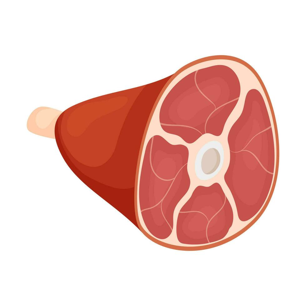 A whole raw pork knuckle with a bone. Fatty meat food. A product of animal origin. A food ingredient. Flat, cartoon vector illustration, isolated on a white background.