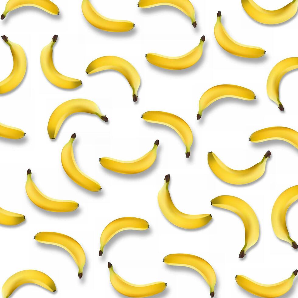 3d realistic illustration banana. Banana isolated vector illustration, banana icon