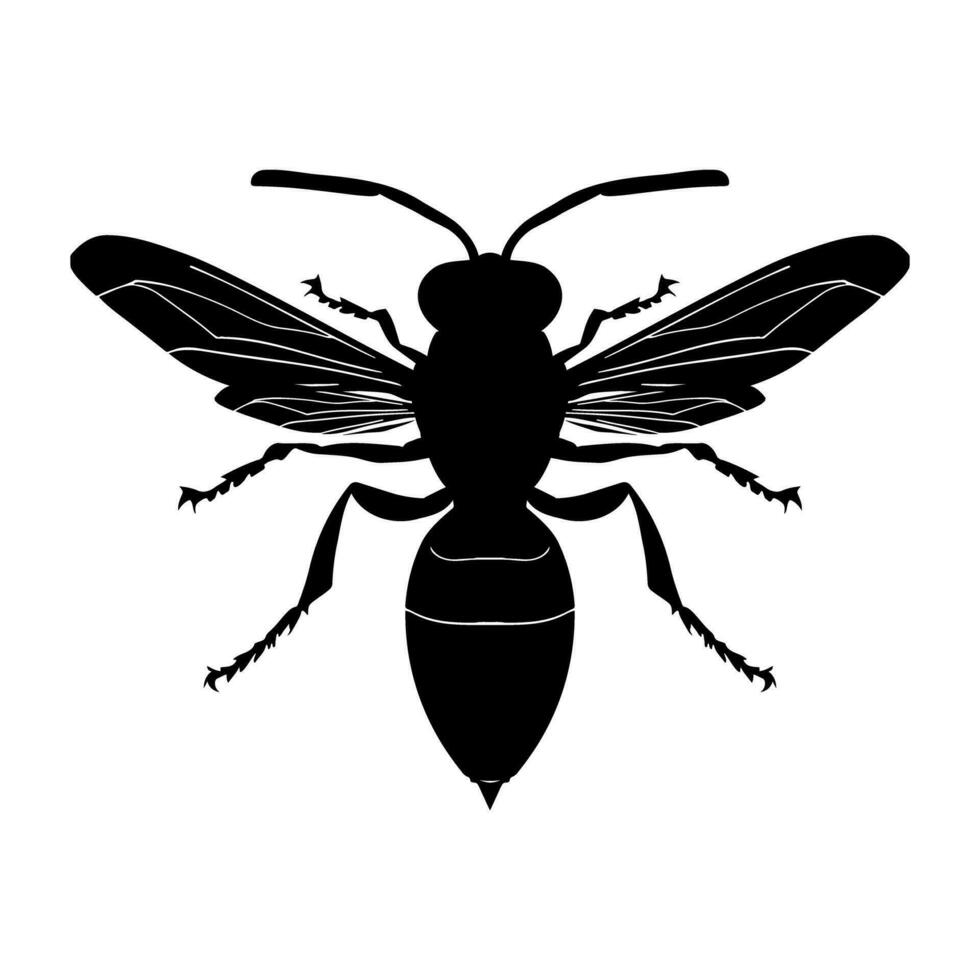 Wasp silhouette isolated on white background. Icon Vector illustration