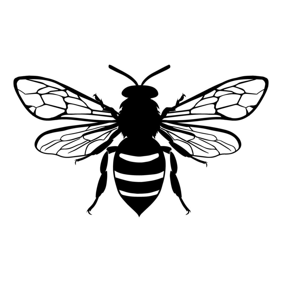 Honey Bee silhouette isolated on white background. Icon Vector illustration