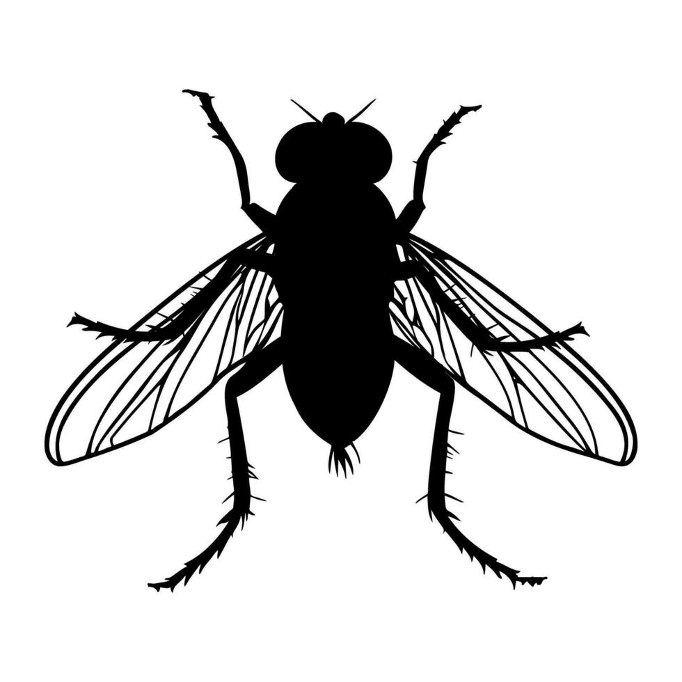 Fly silhouette isolated on white background. Icon Vector illustration